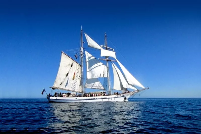 Sailboat traveling in the water