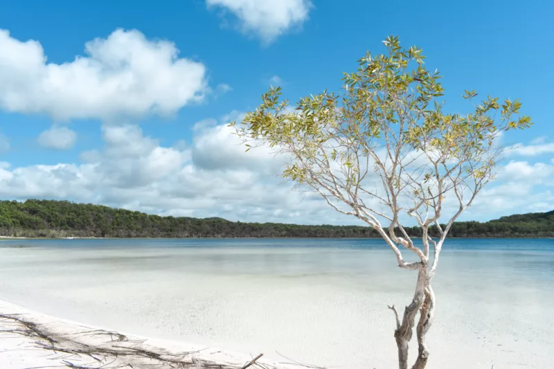 lake-birrabeen-fraser-island