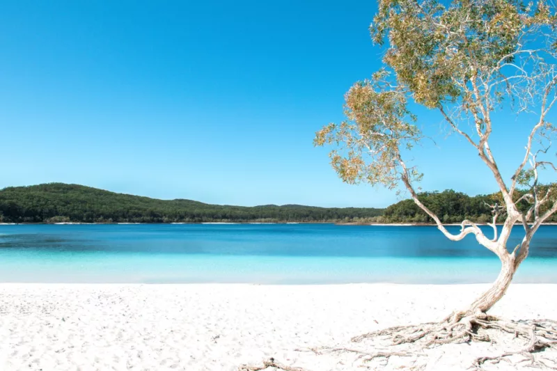 Lake McKenzie, K'gari (Fraser Island)
