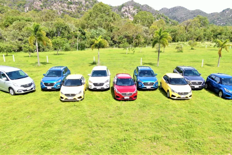 A lineup of cars parked on a green lawn