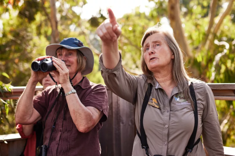 Birdwatching tour in Bruny island