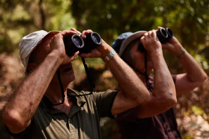 Inala Tours