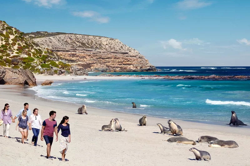 Things to do in Kangaroo Island SeaLink Kangaroo Island