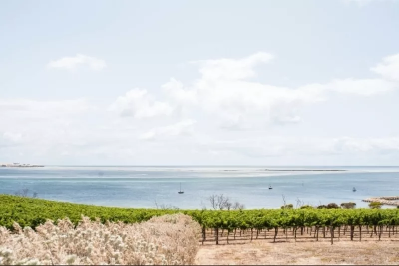 Wide shot of Bay of Shoals with ocean