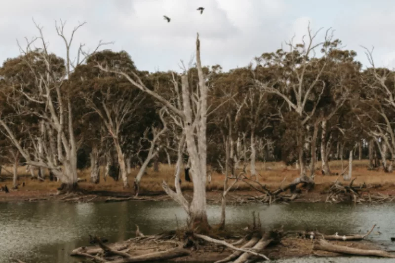 A view of water at Duck Lagoon