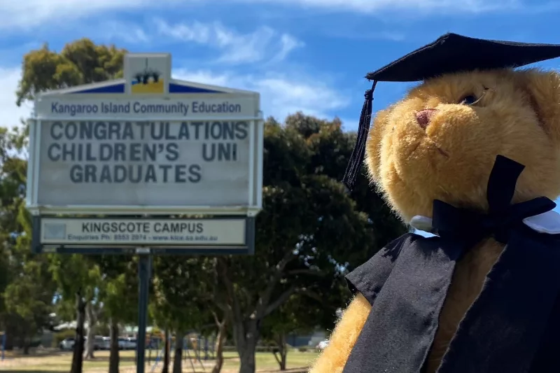 Teddy toy dressed for Childrens graduation