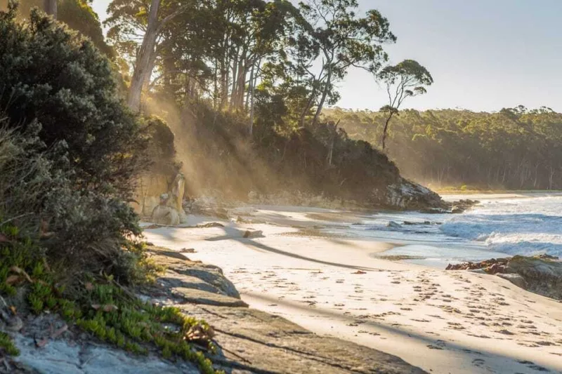 Adventure Bay, Bruny Island