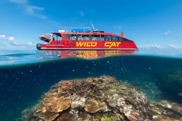 Outer Reef Snorkel Adventure