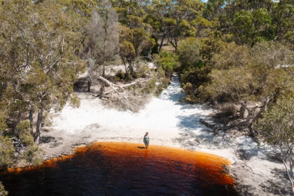 Meanjin (Brisbane) to Minjerribah (North Stradbroke Island) Cultural Day Trip*