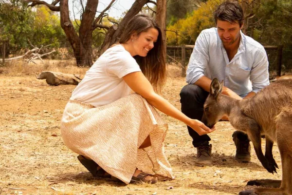 A man and woman feed a kangaroo
