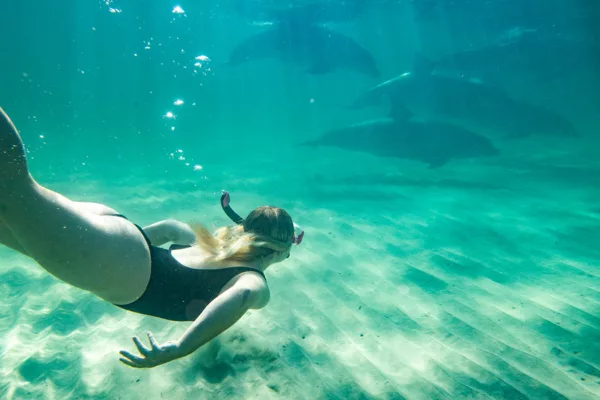 5 unique wildlife experiences