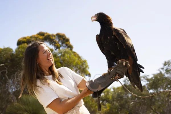 Evolution World Tour: Kangaroo Island, Australia