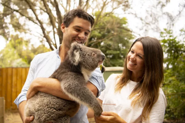 A man holds a koala as a woman looks at them smiling
