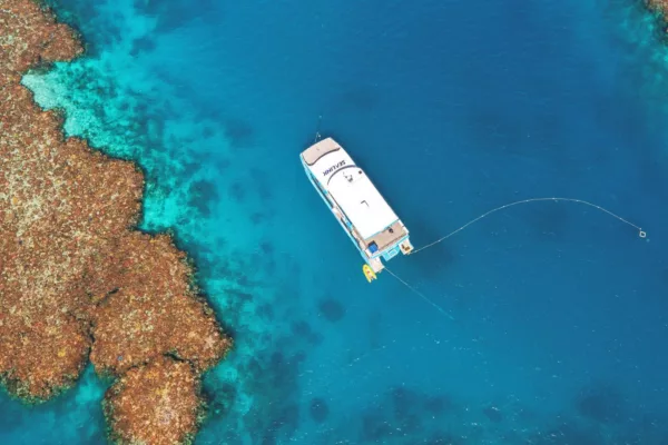 Townsville reef snorkelling tour