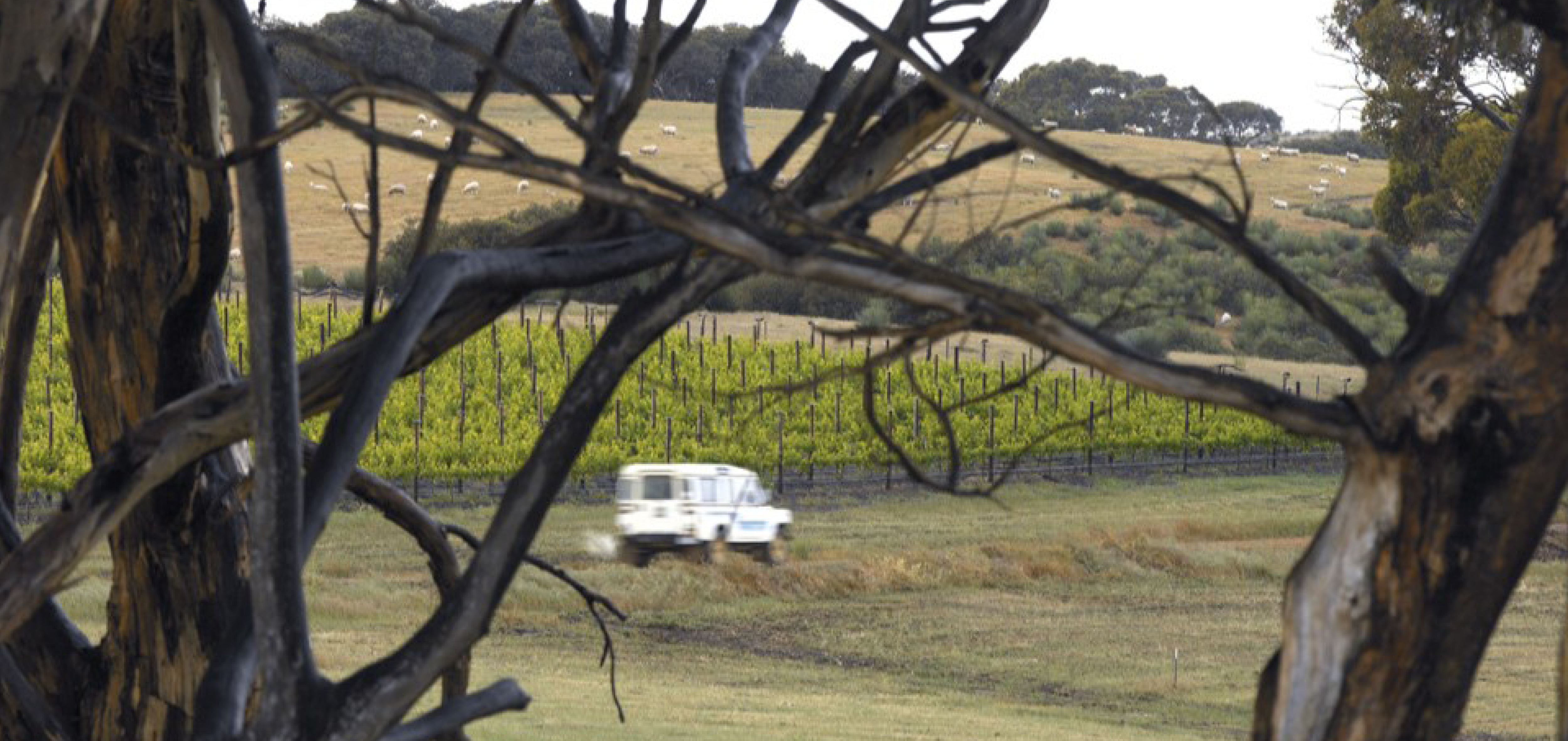 Kangaroo Island has incredible diversity