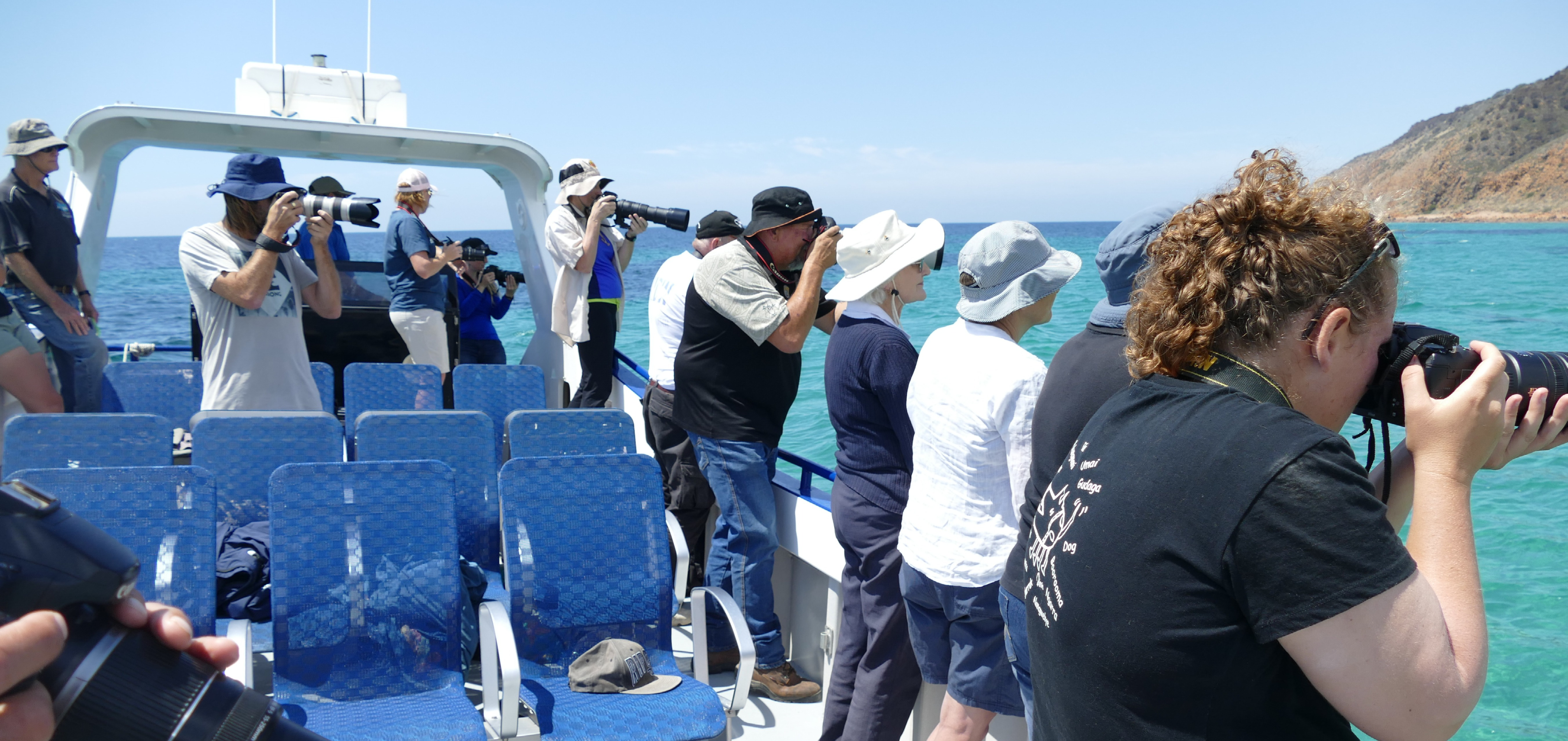 ki-dolphin-watch-volunteer-dashwood-bay_compressed