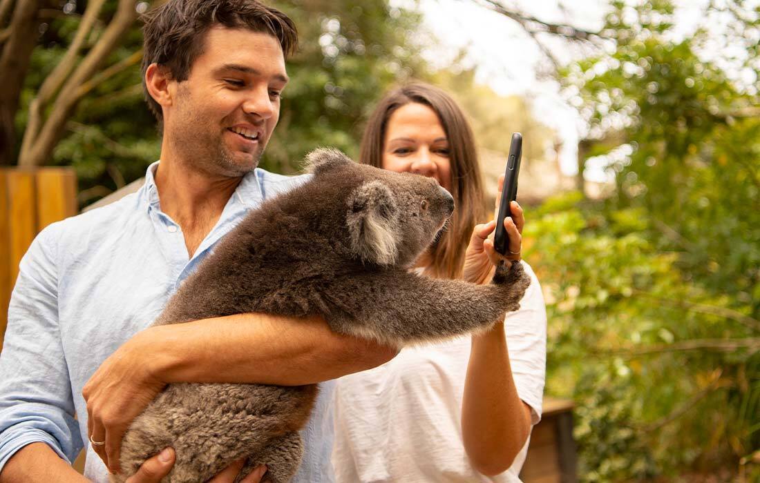 Kangaroo Island Wildlife Park