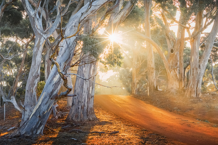 North Coast Road, Kangaroo Island