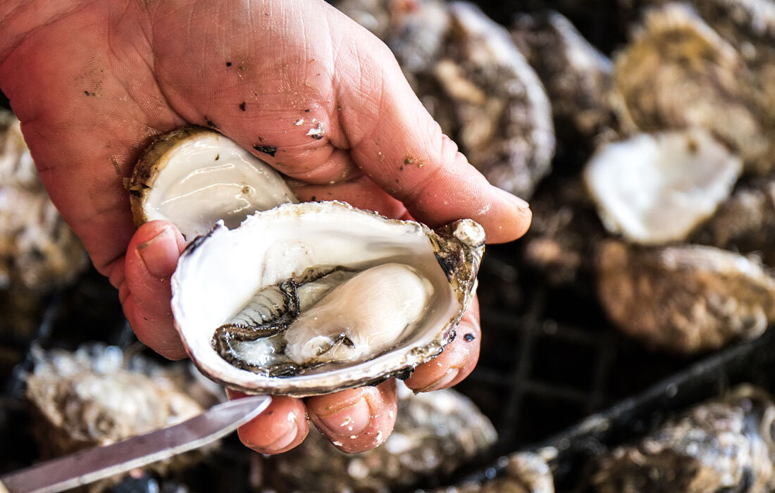 Oyster Farm Shop