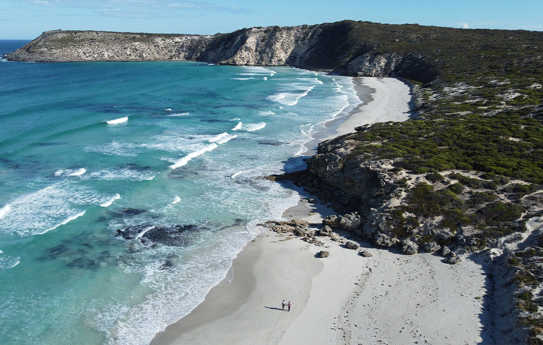 Epic 3 Day Kangaroo Island Itinerary SeaLink Kangaroo Island