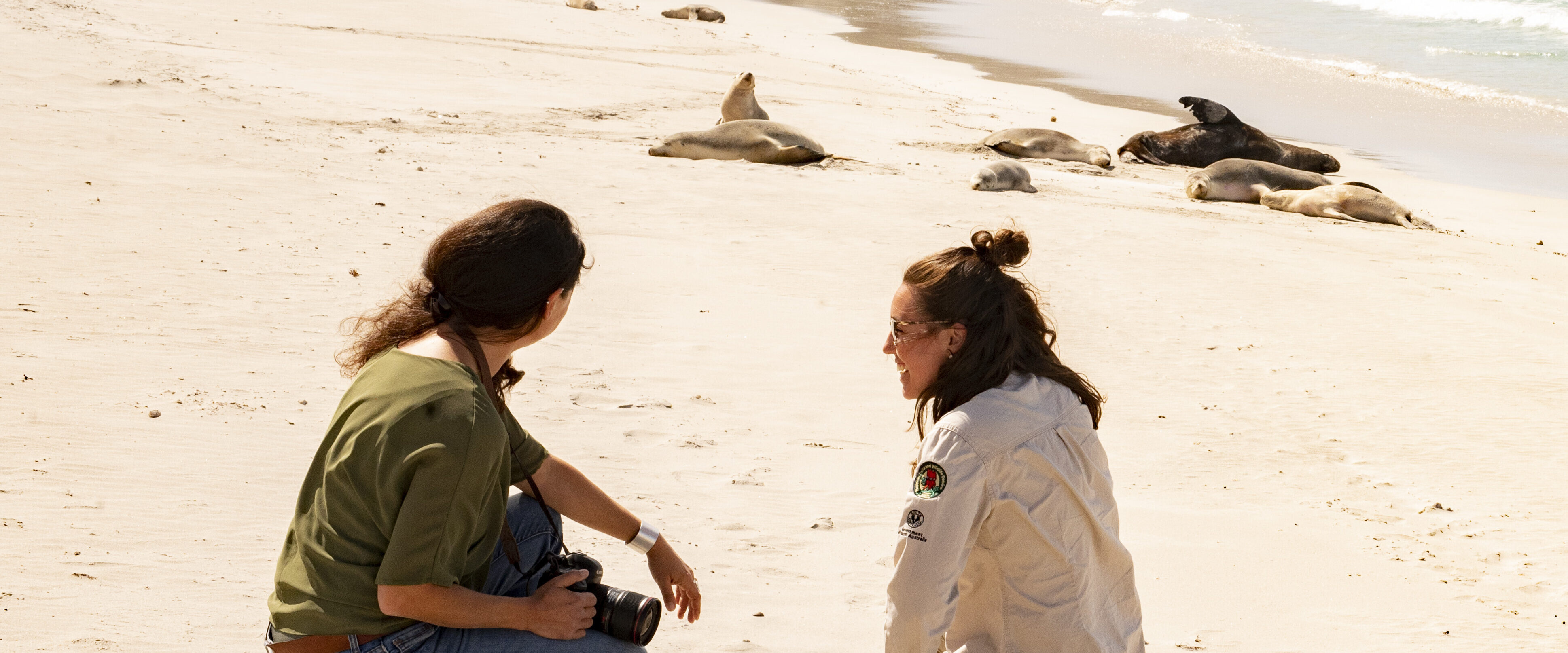 Seal Bay Conservation Park