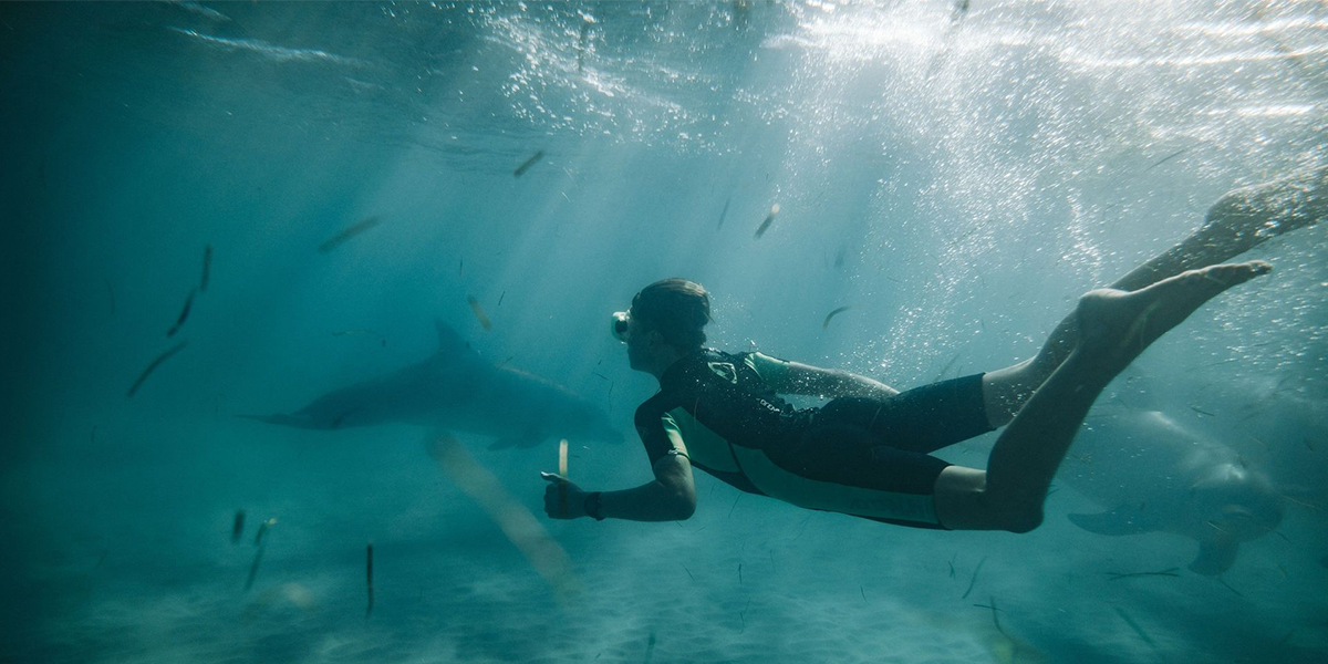 Swimming with dolphins