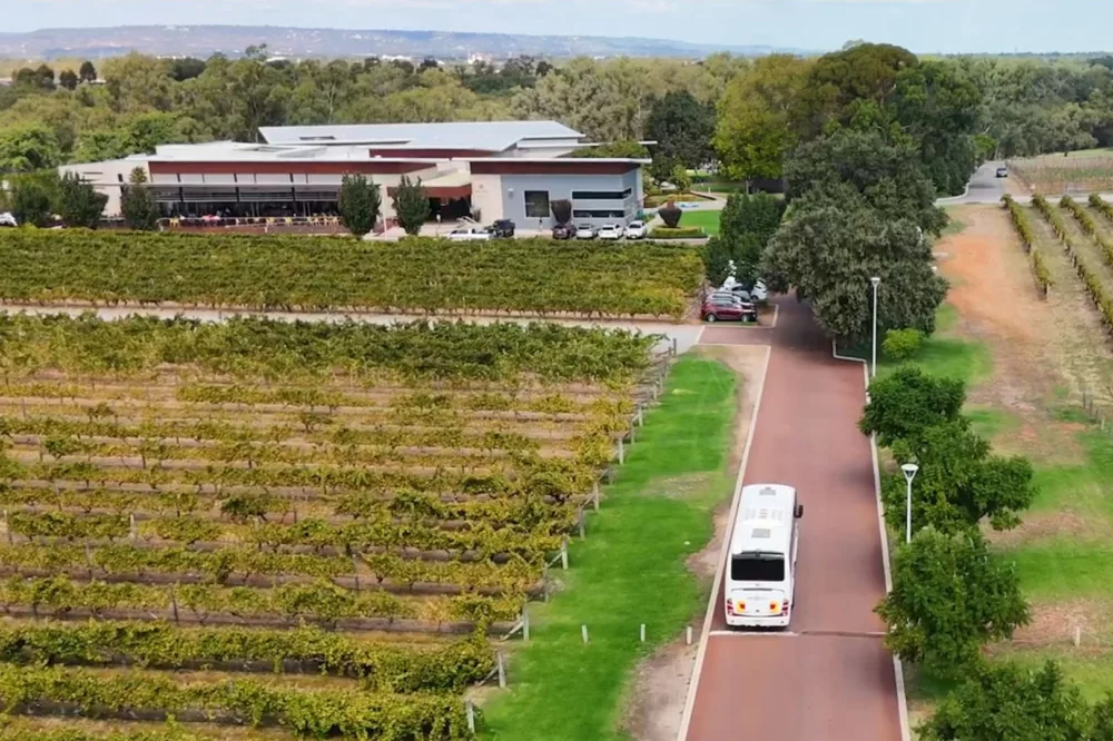 Swan Valley Tours bus driving through vineyards