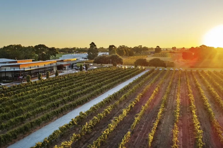 Perth Sundowner Swan Valley Tours | Private & Group Wine Tours