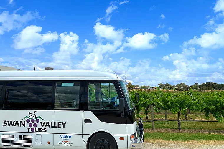 SV Tours Bus Vineyard2